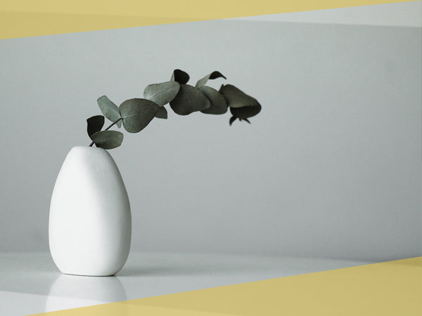 Vases Beginner // FRI 04.10.24