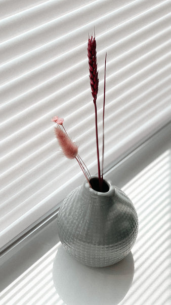Vases Beginner // FR 21.03.25