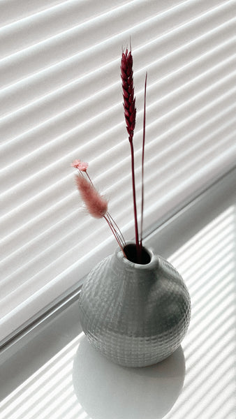 Vases Beginner // SAT 25.01.25