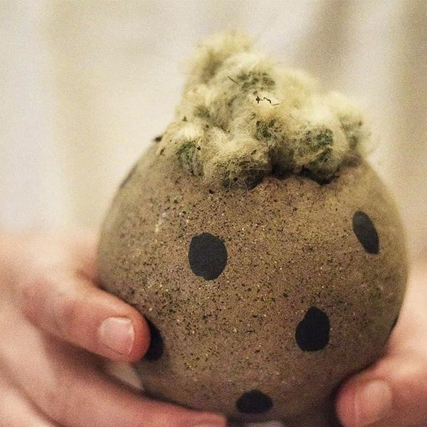 Succulent Stoneware Planter
