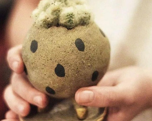 Succulent Stoneware Planter